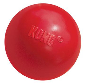 Kong Ball Toy